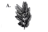 2023年5月7日全国事业单位联考A类《职业能力倾向测验》试题(网友回忆版)插图24 2023年5月7日全国事业单位联考A类《职业能力倾向测验》试题(网友回忆版)插图24